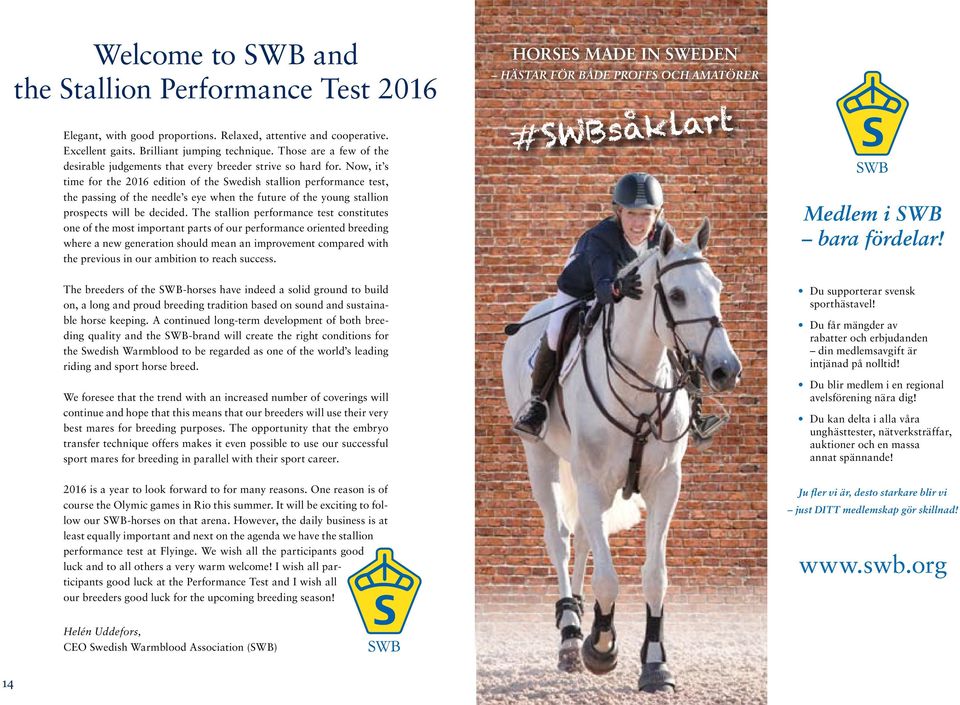 Now, it s time for the 2016 edition of the Swedish stallion performance test, the passing of the needle s eye when the future of the young stallion prospects will be decided.