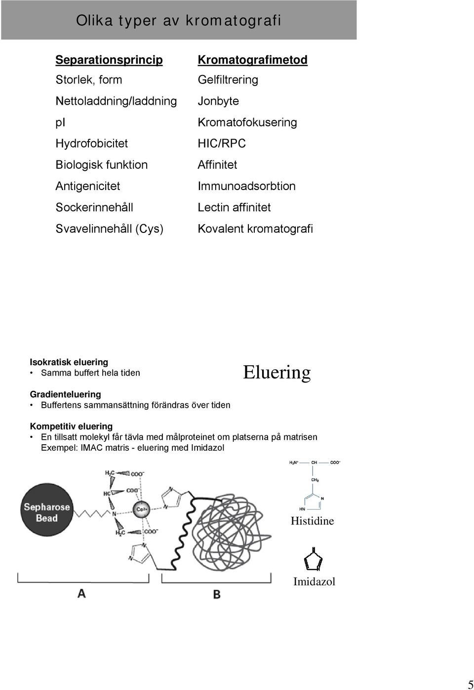 affinitet Kovalent kromatografi Isokratisk eluering Samma buffert hela tiden Gradienteluering Buffertens sammansättning förändras över tiden