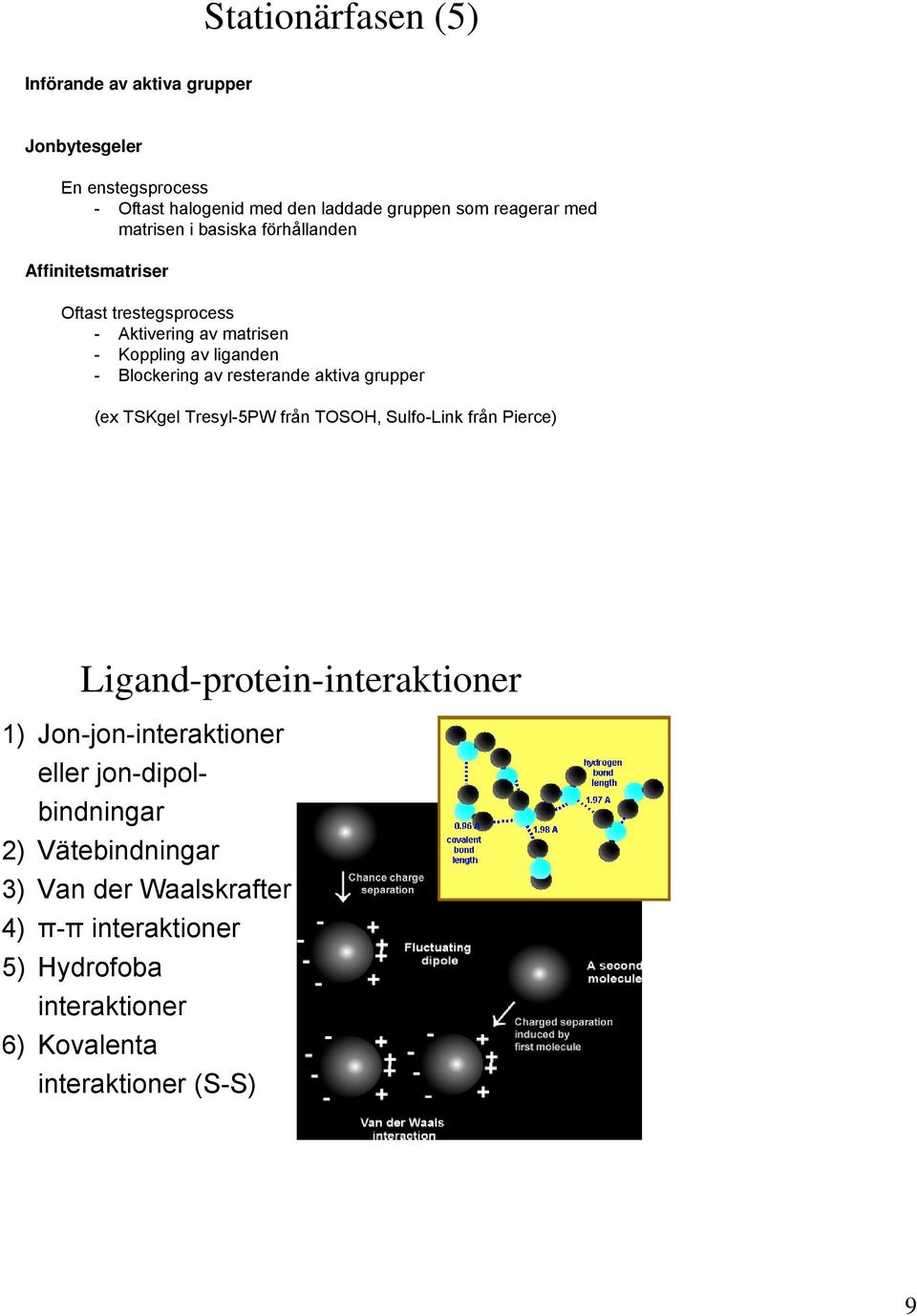 resterande aktiva grupper (ex TSKgel Tresyl-5PW från TOSOH, Sulfo-Link från Pierce) Ligand-protein-interaktioner 1) Jon-jon-interaktioner