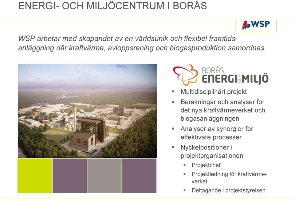 Multidisciplinärt projekt Beräkningar och analyser för det nya kraftvärmeverket och biogasanläggningen