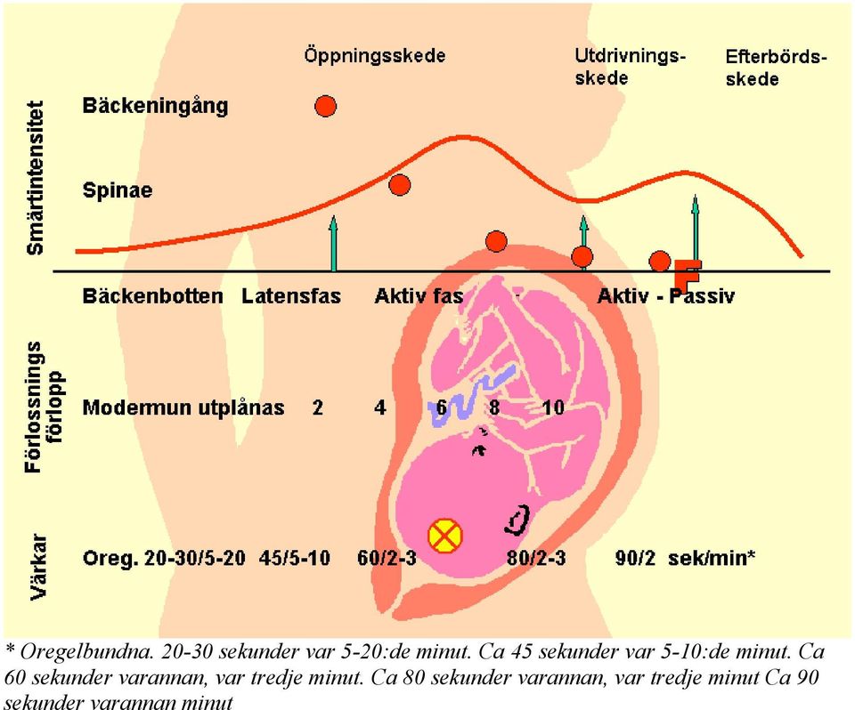 Ca 60 sekunder varannan, var tredje minut.