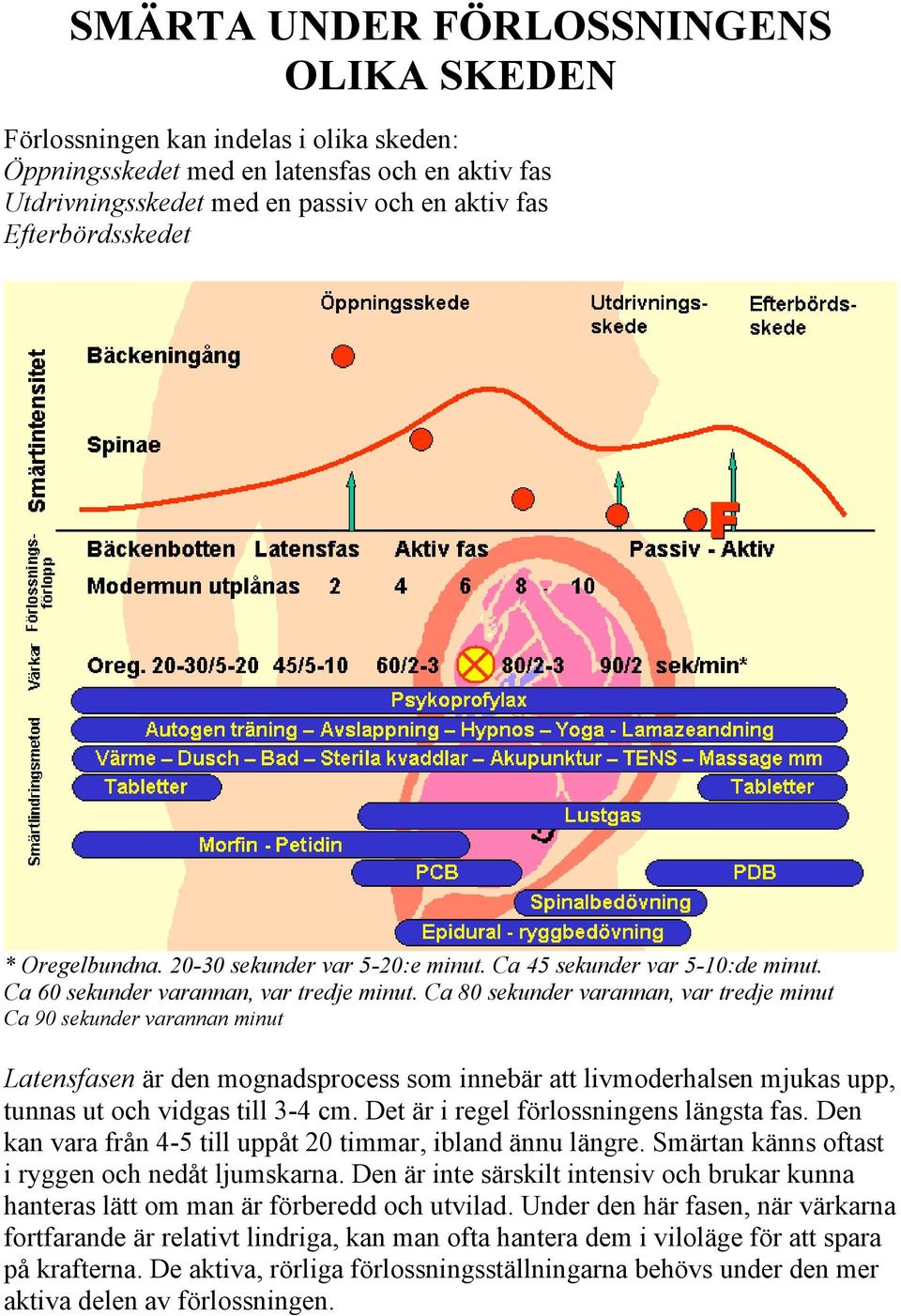 Ca 80 sekunder varannan, var tredje minut Ca 90 sekunder varannan minut Latensfasen är den mognadsprocess som innebär att livmoderhalsen mjukas upp, tunnas ut och vidgas till 3-4 cm.