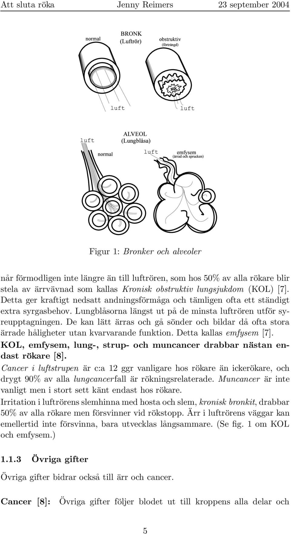 De kan lätt ärras och gå sönder och bildar då ofta stora ärrade håligheter utan kvarvarande funktion. Detta kallas emfysem [7].