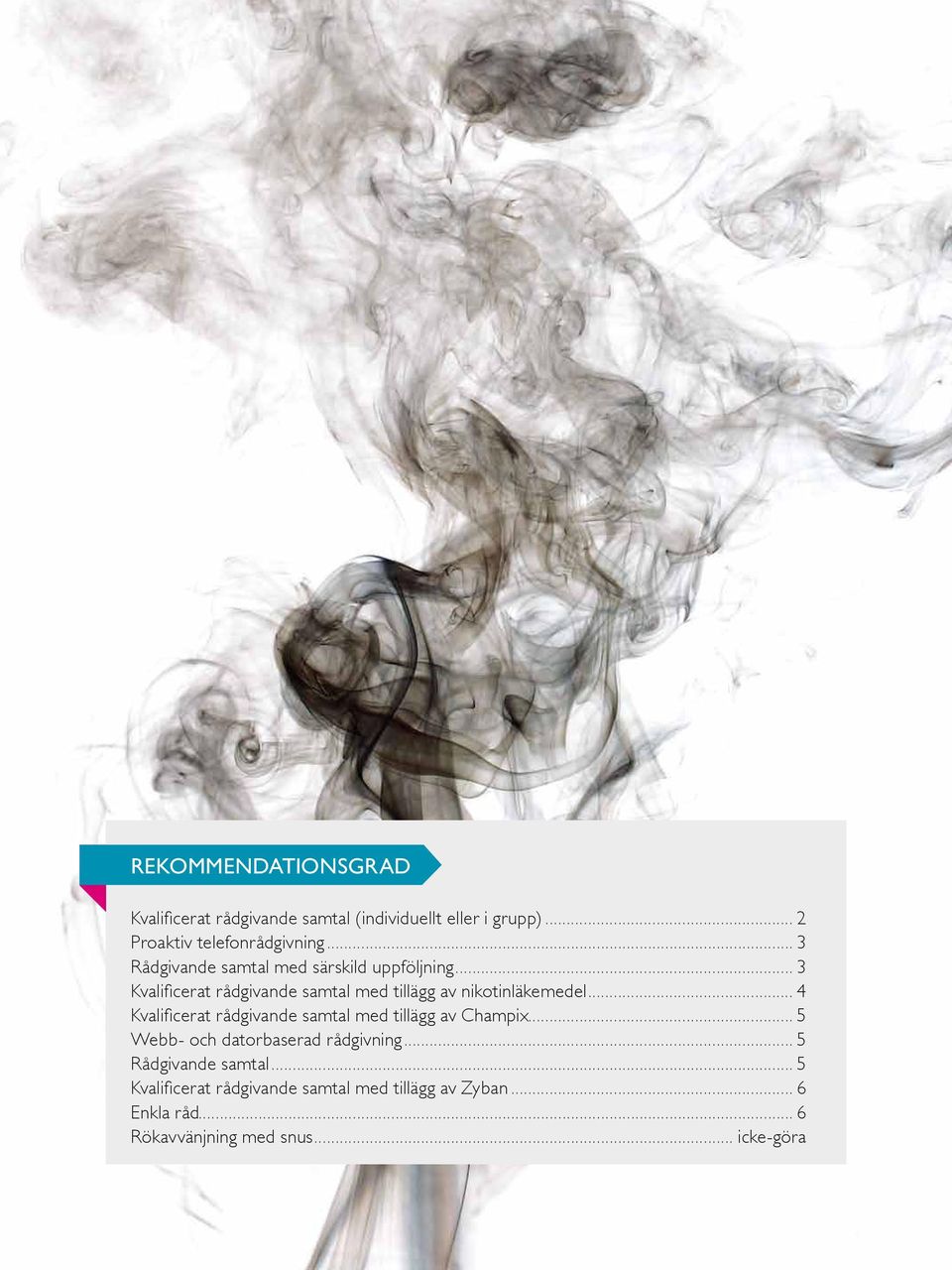 .. 4 Kvalificerat rådgivande samtal med tillägg av Champix... 5 Webb- och datorbaserad rådgivning.
