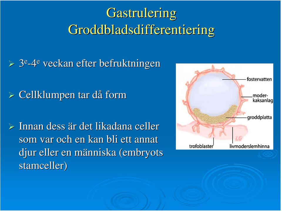 Innan dess är r det likadana celler som var och en