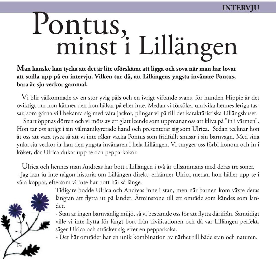 Vi blir välkomnade av en stor yvig päls och en ivrigt viftande svans, för hunden Hippie är det oviktigt om hon känner den hon hälsar på eller inte.