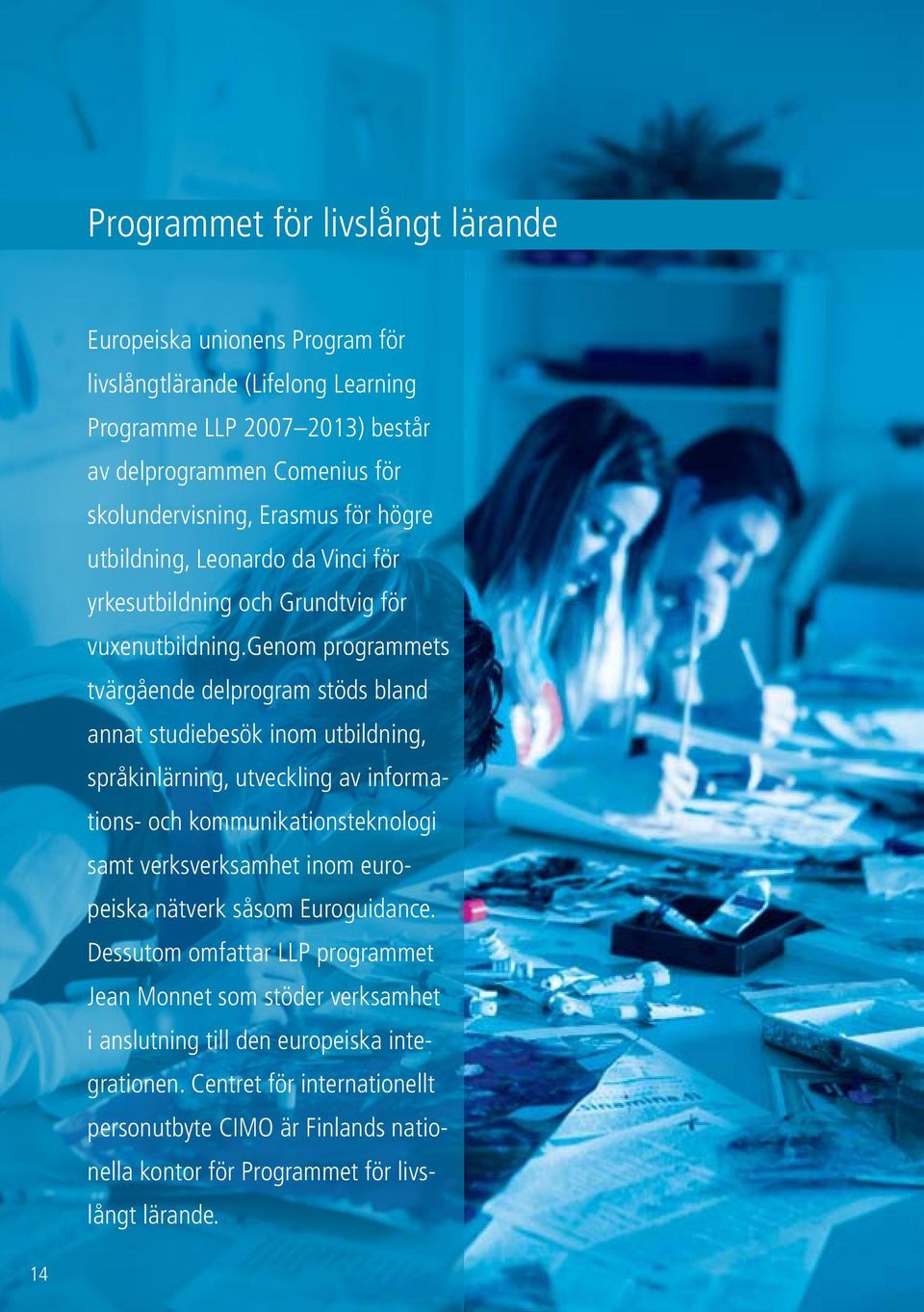 genom programmets tvärgående delprogram stöds bland annat studiebesök inom utbildning, språkinlärning, utveckling av informations- och kommunikationsteknologi samt verksverksamhet inom