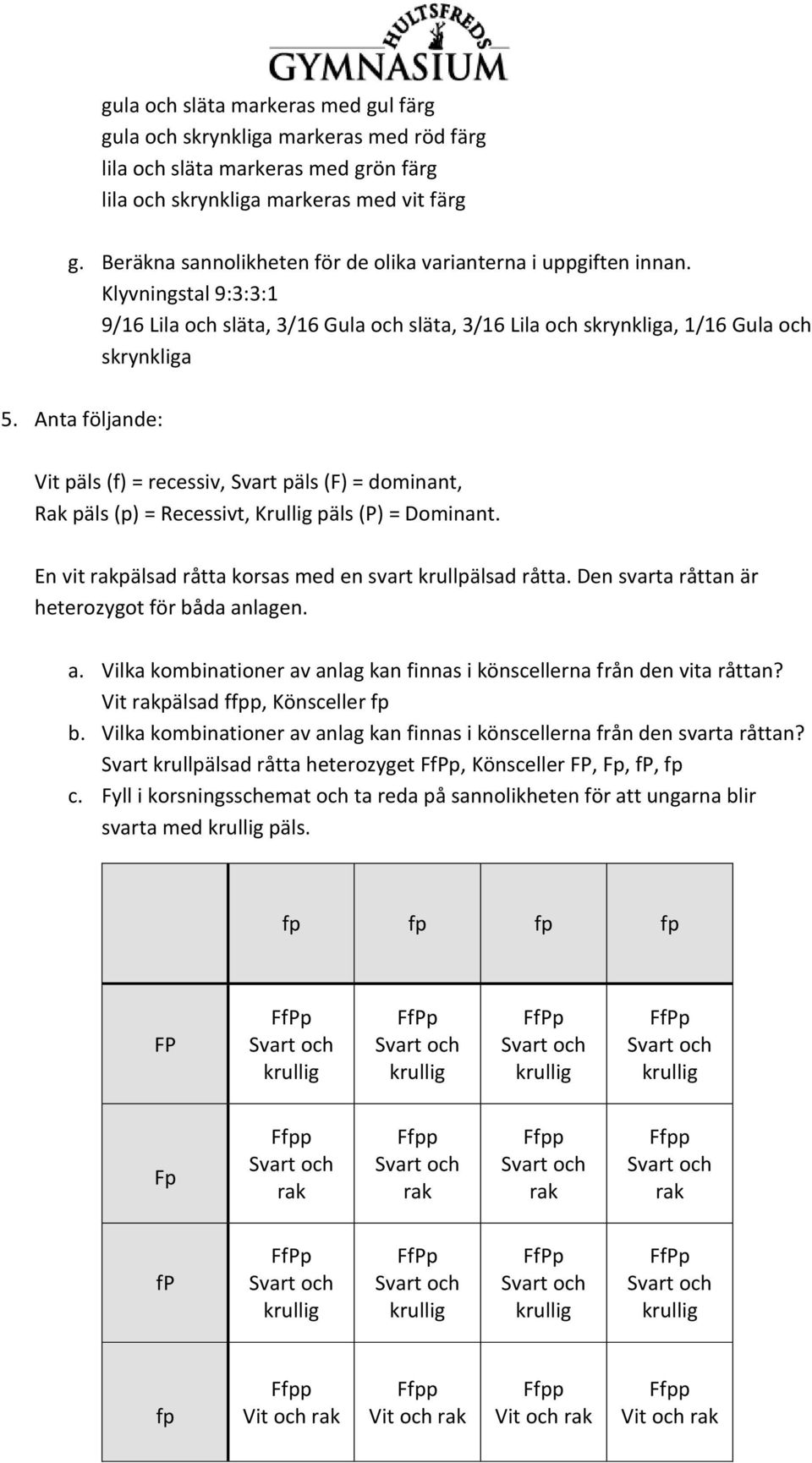 Anta följande: Vit päls (f) = recessiv, Svart päls (F) = dominant, Rak päls (p) = Recessivt, Krullig päls (P) = Dominant. En vit rakpälsad råtta korsas med en svart krullpälsad råtta.