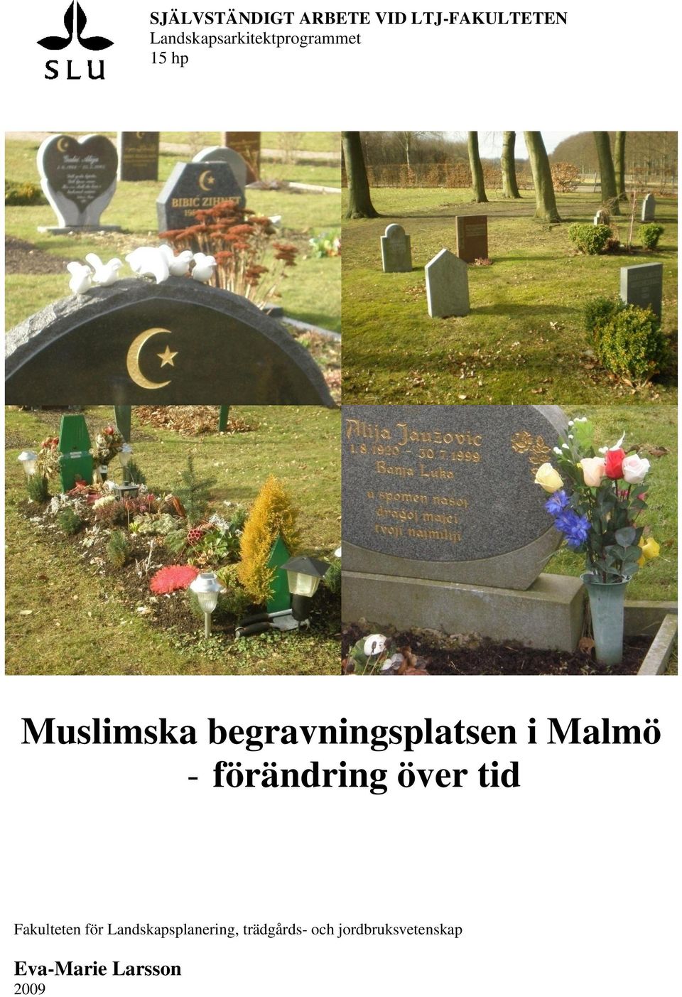 begravningsplatsen i Malmö - förändring över tid