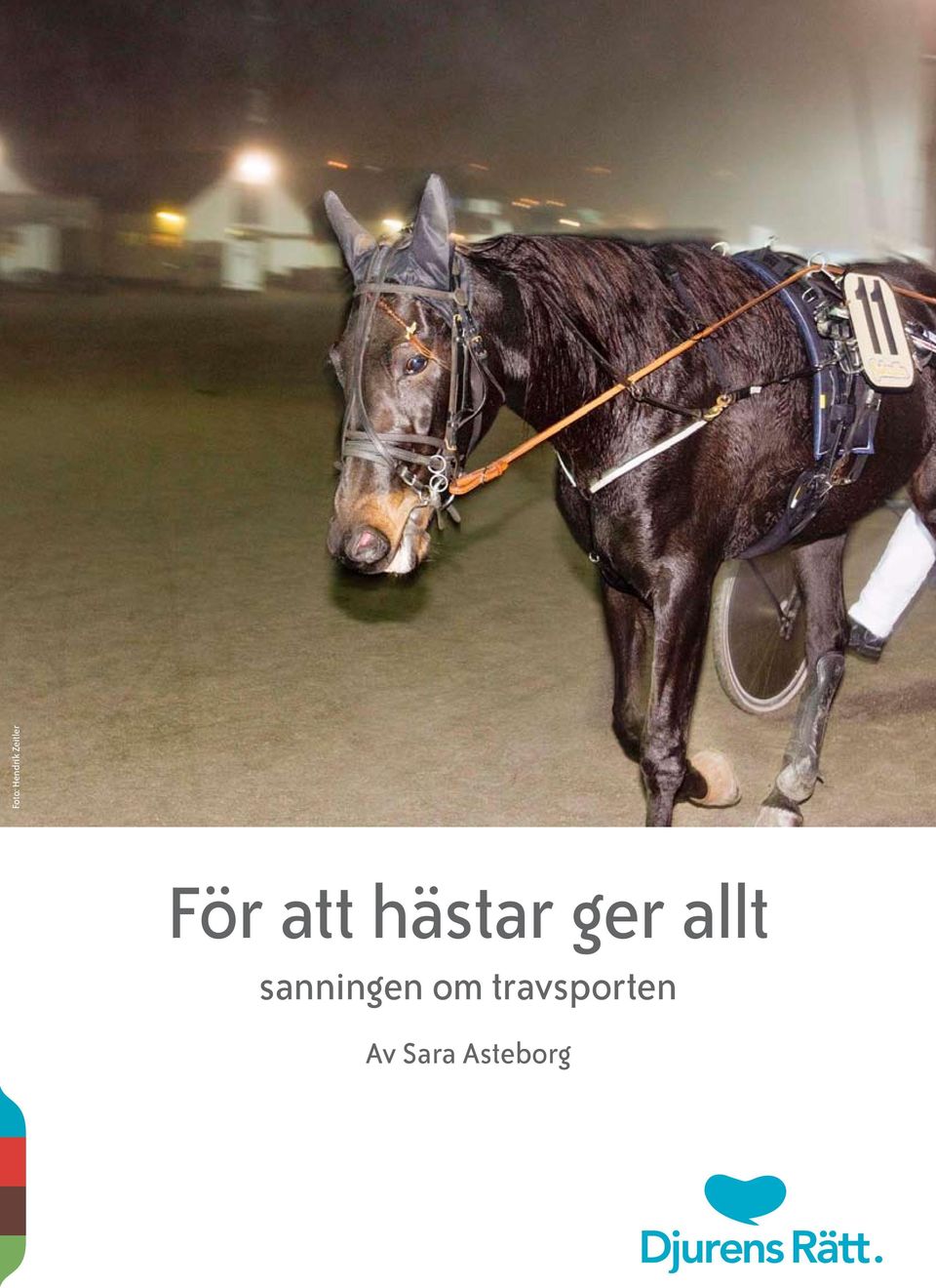 allt sanningen om