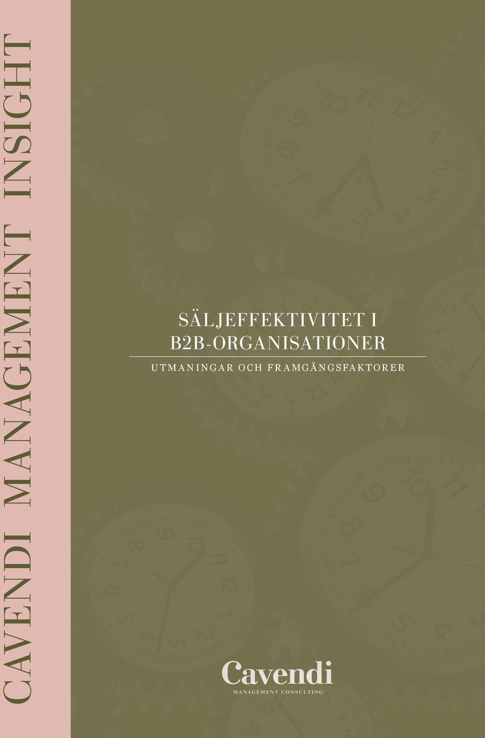 B2B-Organisationer Utmaningar och