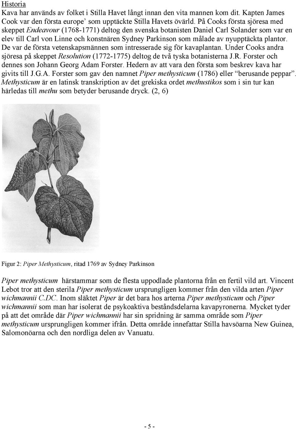 nyupptäckta plantor. De var de första vetenskapsmännen som intresserade sig för kavaplantan. Under Cooks andra sjöresa på skeppet Resolution (1772-1775) deltog de två tyska botanisterna J.R. Forster och dennes son Johann Georg Adam Forster.