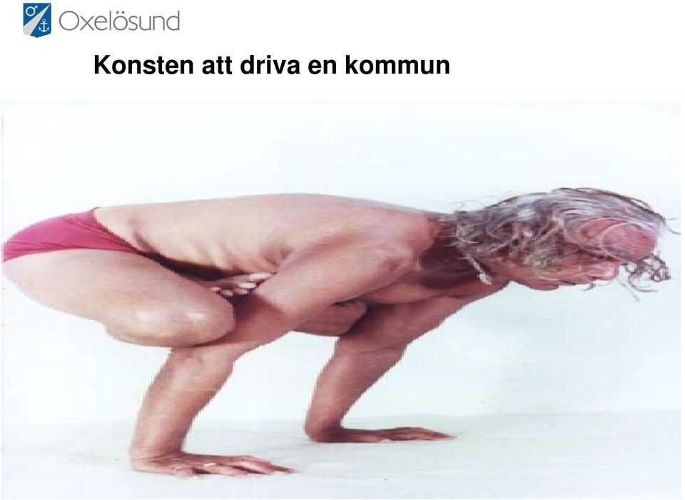 en kommun