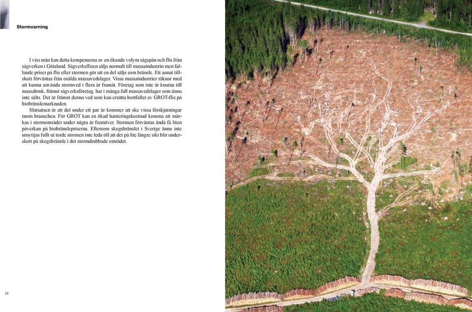 Vissa massaindustrier räknar med att kunna använda stormved i flera år framåt. Företag som inte är knutna till massabruk, främst sågverksföretag, har i många fall massavedslager som ännu inte sålts.