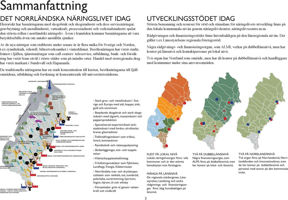 Största bemanning och resurser för stöd och stimulans för näringslivets utveckling ﬁnns på den lokala kommunala nivån genom näringslivskontor, näringslivscentra m.m. Rådgivningen och ﬁnansieringsstödet ﬁnns huvudsakligen på den länsregionala nivån.