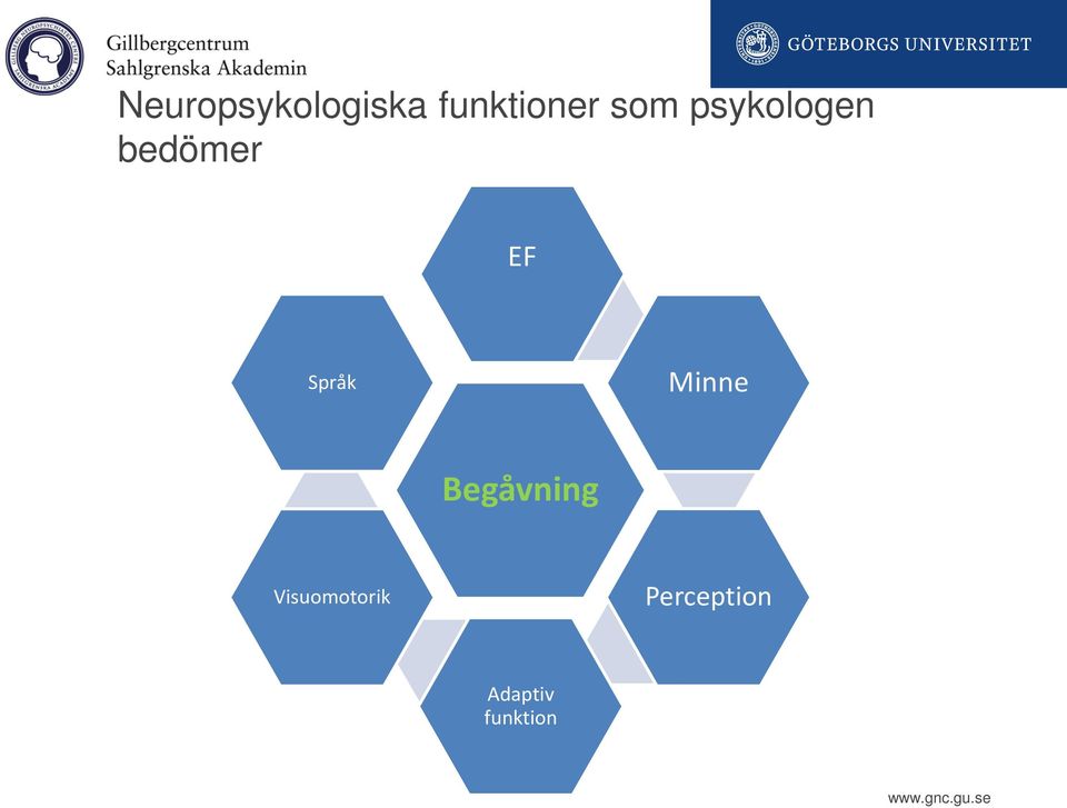 Språk Minne Begåvning