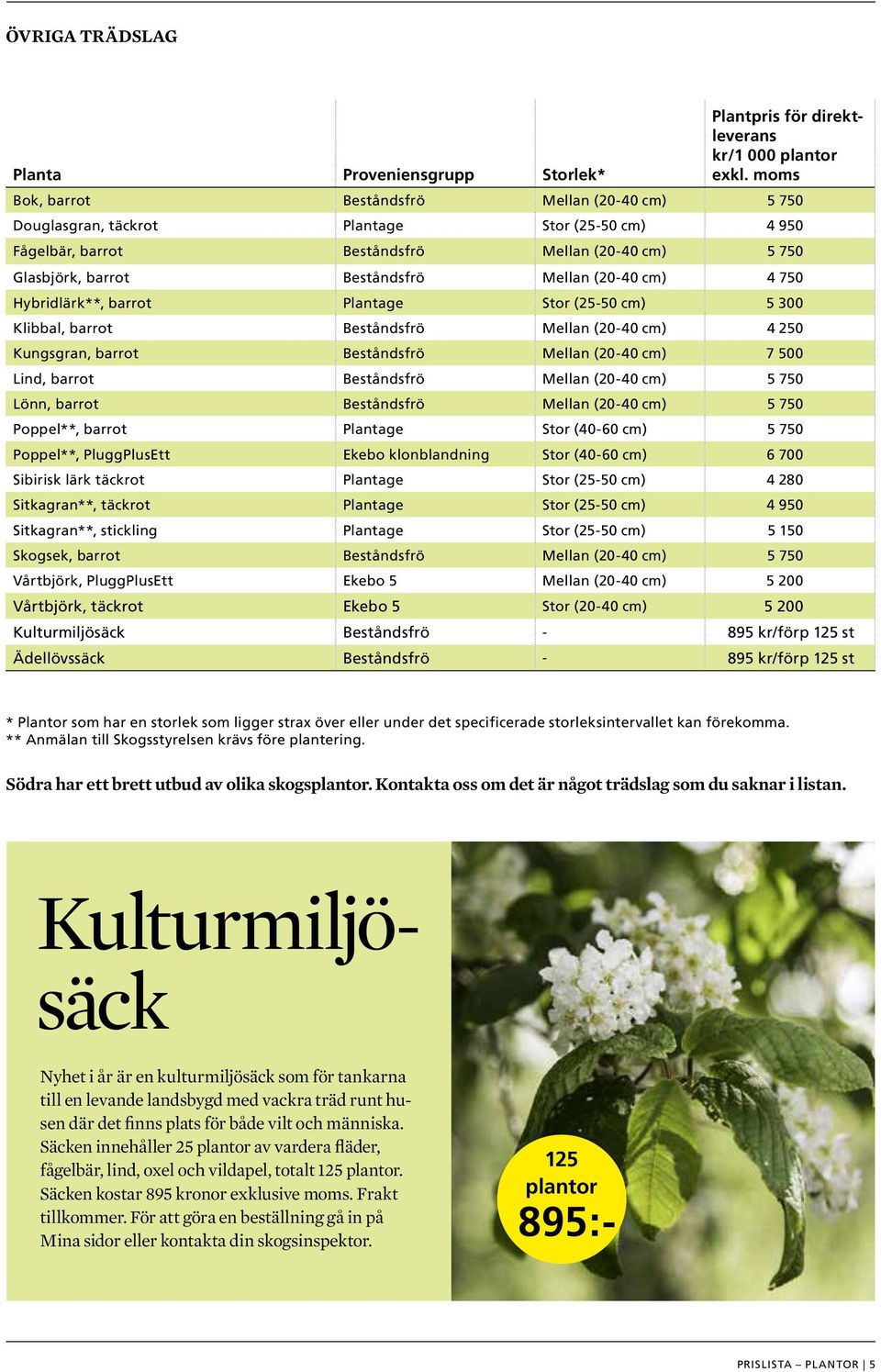 (20-40 cm) 4 750 Hybridlärk**, barrot Plantage Stor (25-50 cm) 5 300 Klibbal, barrot Beståndsfrö Mellan (20-40 cm) 4 250 Kungsgran, barrot Beståndsfrö Mellan (20-40 cm) 7 500 Lind, barrot Beståndsfrö