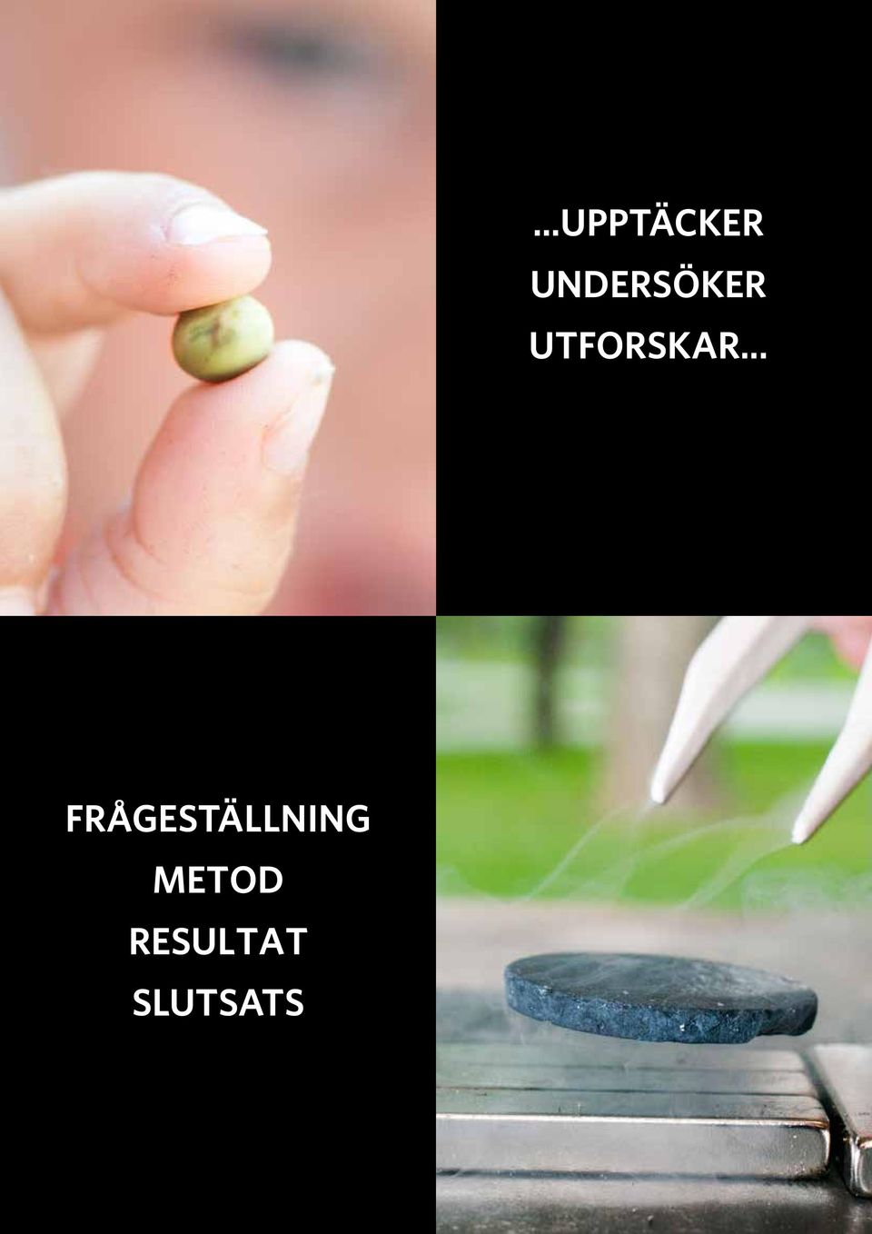 UTFORSKAR.