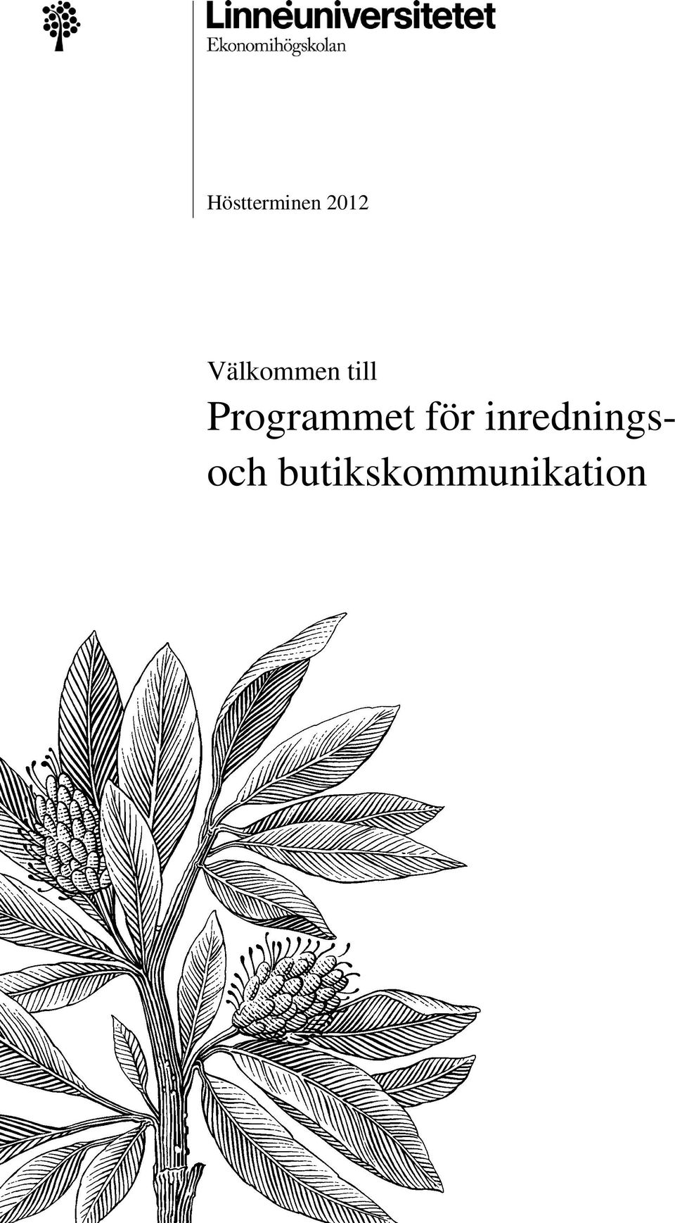 Programmet för