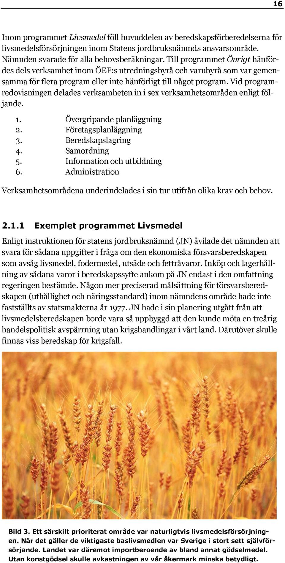 Vid programredovisningen delades verksamheten in i sex verksamhetsområden enligt följande. 1. Övergripande planläggning 2. Företagsplanläggning 3. Beredskapslagring 4. Samordning 5.