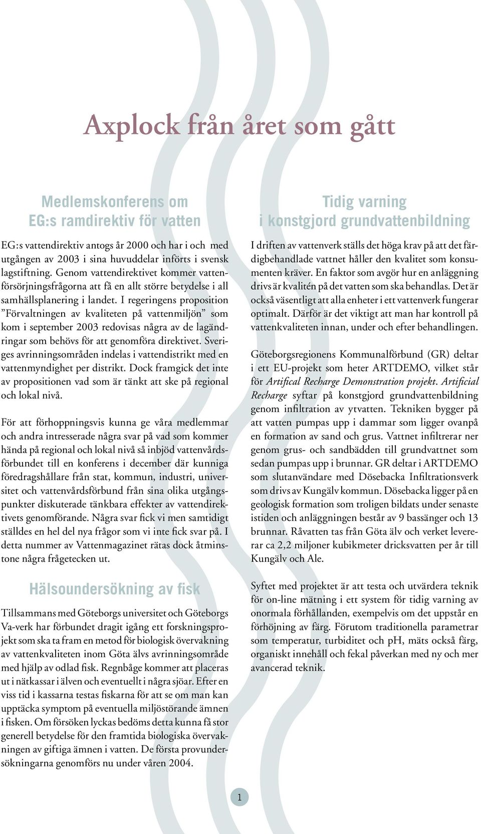 I regeringens proposition Förvaltningen av kvaliteten på vattenmiljön som kom i september 2003 redovisas några av de lagändringar som behövs för att genomföra direktivet.