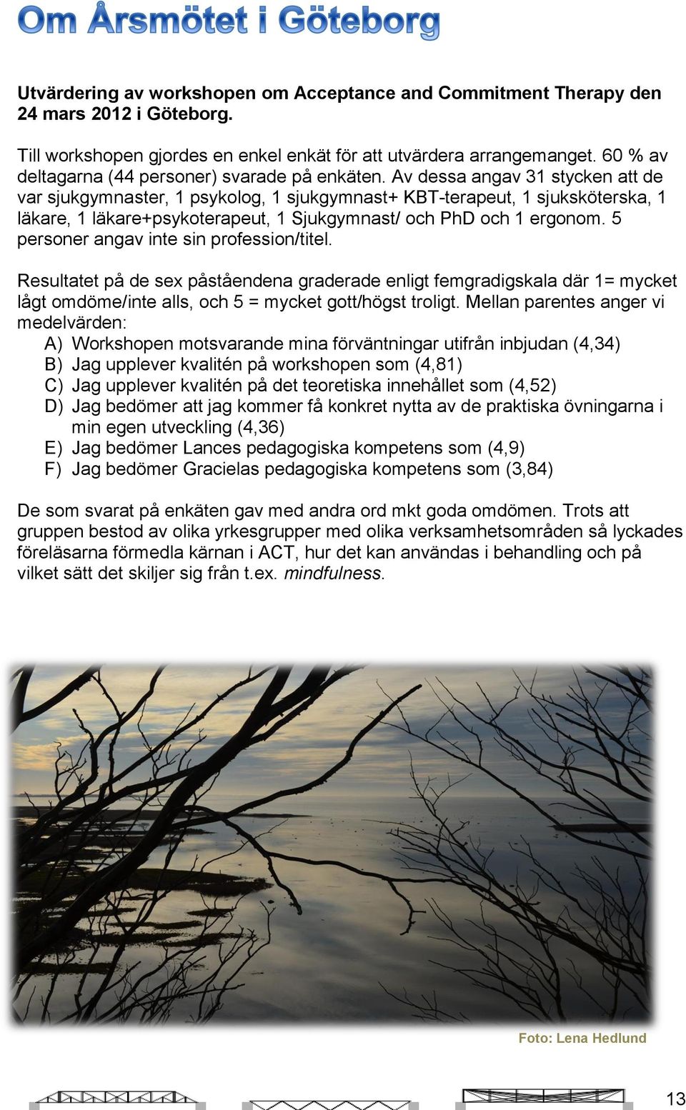 Av dessa angav 31 stycken att de var sjukgymnaster, 1 psykolog, 1 sjukgymnast+ KBT-terapeut, 1 sjuksköterska, 1 läkare, 1 läkare+psykoterapeut, 1 Sjukgymnast/ och PhD och 1 ergonom.