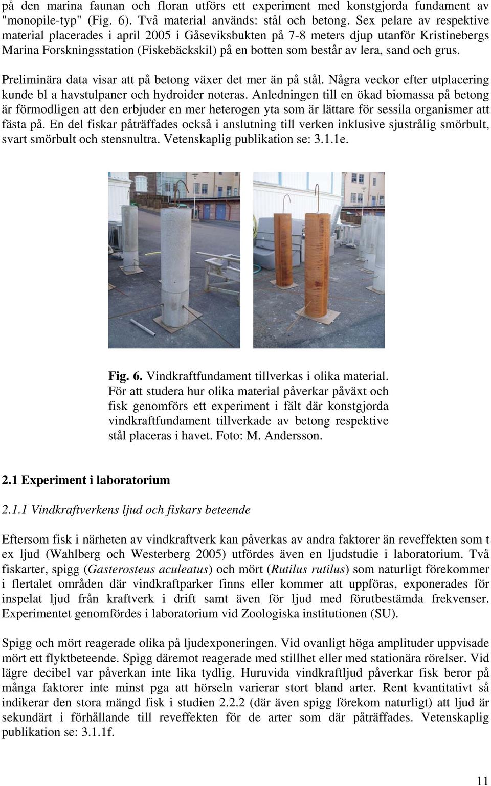 grus. Preliminära data visar att på betong växer det mer än på stål. Några veckor efter utplacering kunde bl a havstulpaner och hydroider noteras.