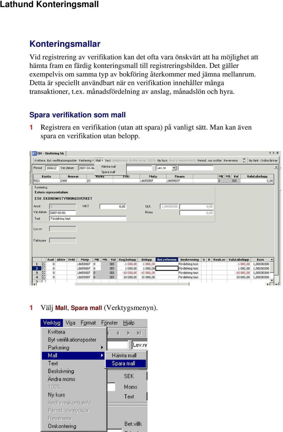 Detta är speciellt användbart när en verifikation innehåller många transaktioner, t.ex. månadsfördelning av anslag, månadslön och hyra.