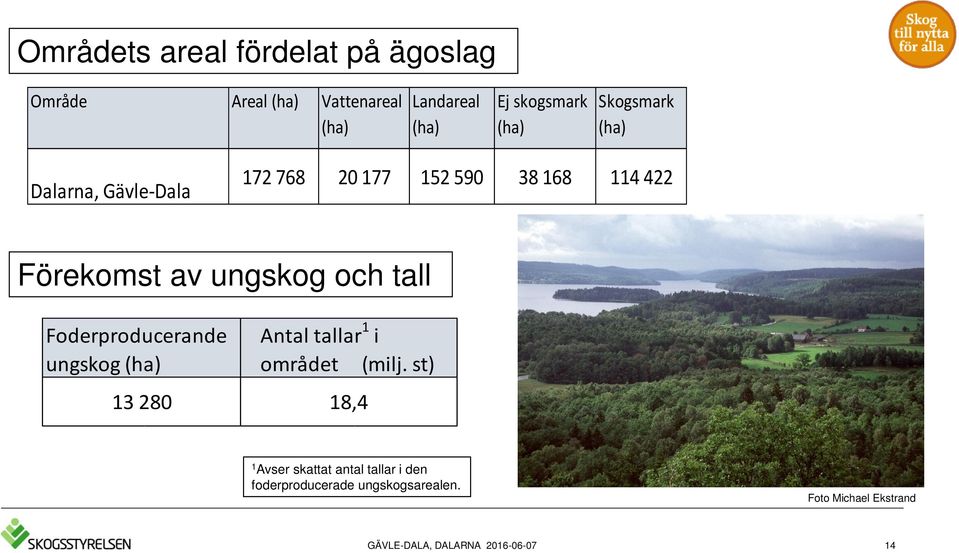 Förekomst av ungskog och tall Foderproducerande ungskog (ha) Antal tallar 1 i området (milj.