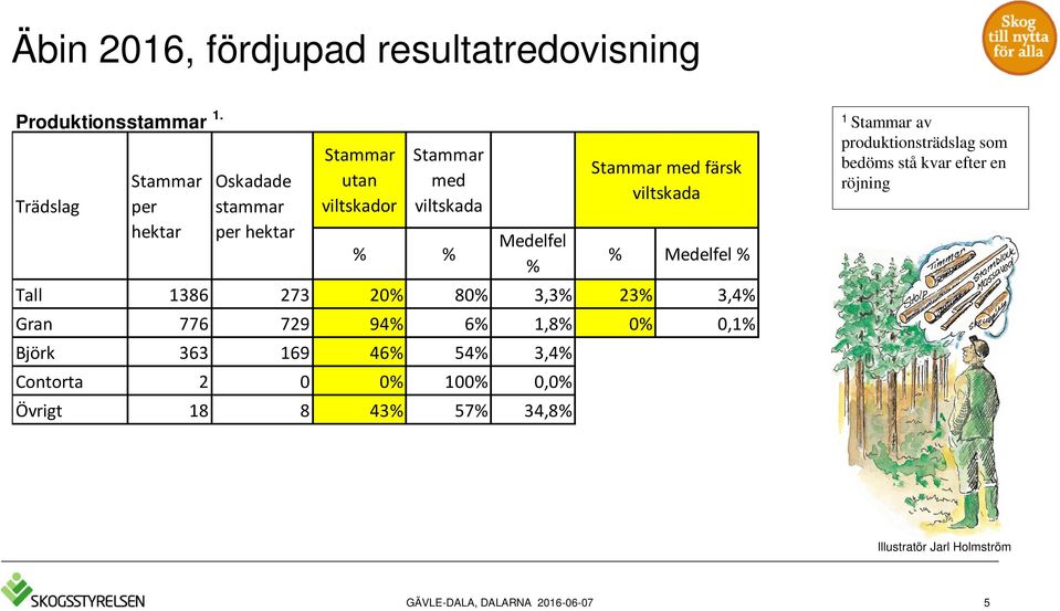 Medelfel % % Medelfel % Tall 1386 273 2 8 3,3% 23% 3,4% Gran 776 729 94% 6% 1,8% 0,1% Björk 363 169 46% 54% 3,4%