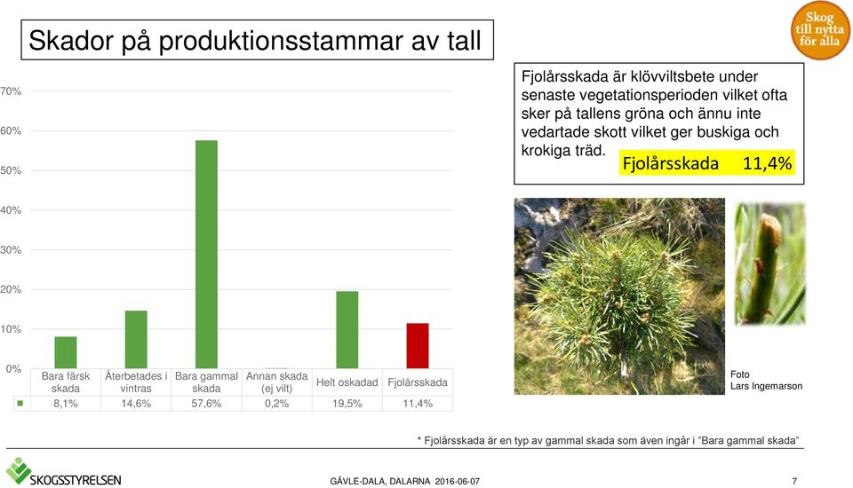 Fjolårsskada 11,4% 4 3 2 1 Bara färsk skada Återbetades i vintras Bara gammal skada Annan skada (ej vilt) Helt