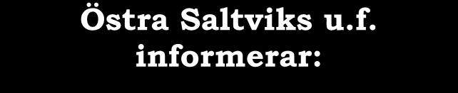 SALTVIK INFORMERAR Stoppdatum för inlämning av material till Saltvik informerar nr 4/2013 är 28 mars. Maila helst in det färdiga annonsmaterialet till info@saltvik.ax.