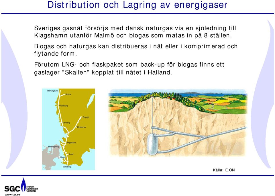 Biogas och naturgas kan distribueras i nät eller i komprimerad och flytande form.