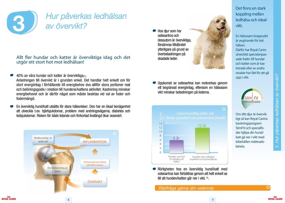 Det handlar helt enkelt om för stort energiintag i förhållande till energibehov dvs alltför stora portioner mat och belöningsgodis i relation till hundens/kattens aktivitet.