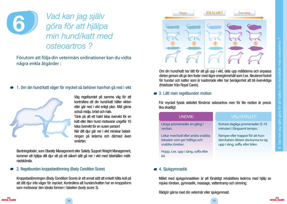 Mät gärna också midja, bröst och hals. Tänk på att ett halvt kilos övervikt för en katt eller liten hund motsvarar ungefär 10 kilos övervikt för en vuxen person!