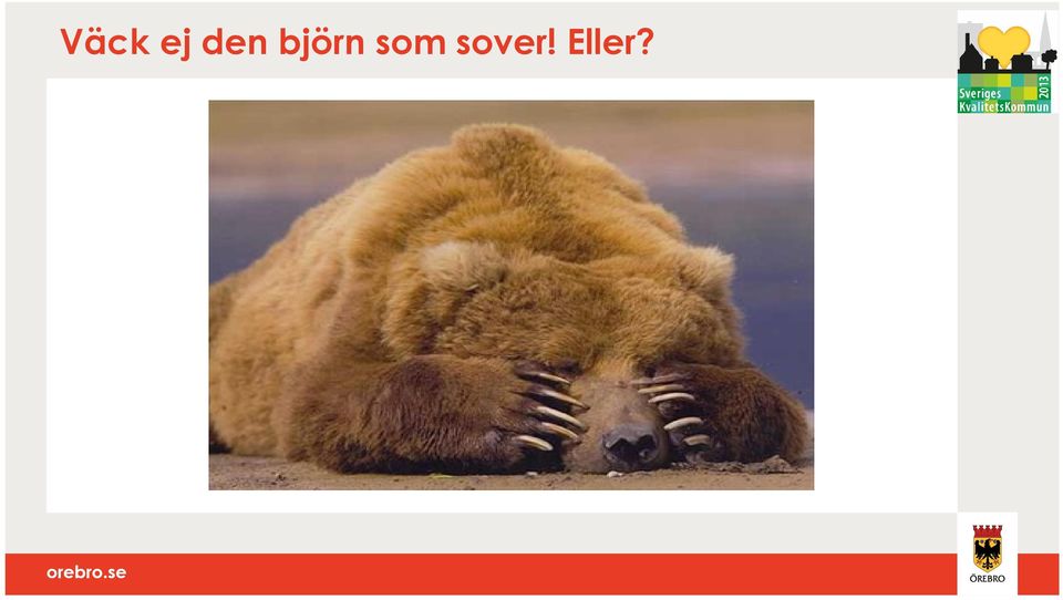 som sover!