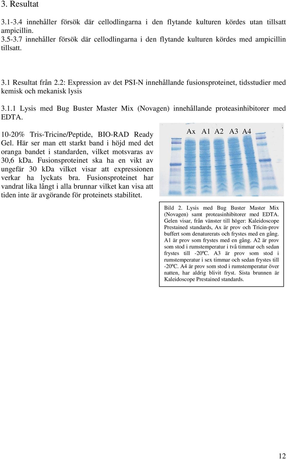 2: Expression av det PSI-N innehållande fusionsproteinet, tidsstudier med kemisk och mekanisk lysis 3.1.1 Lysis med Bug Buster Master Mix (Novagen) innehållande proteasinhibitorer med EDTA.