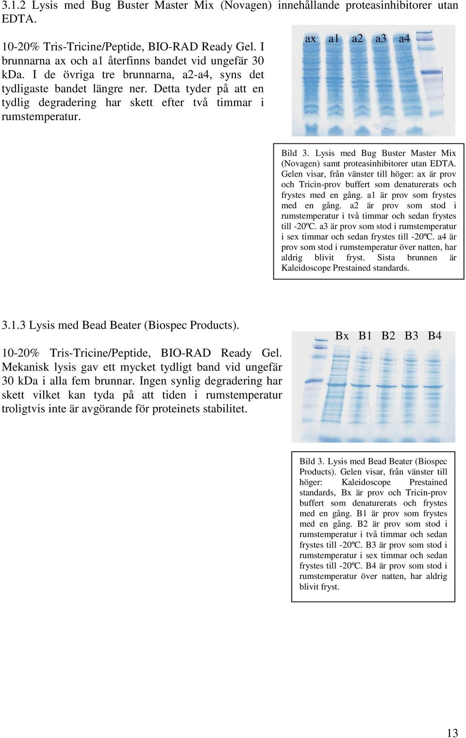 Lysis med Bug Buster Master Mix (Novagen) samt proteasinhibitorer utan EDTA. Gelen visar, från vänster till höger: ax är prov och Tricin-prov buffert som denaturerats och frystes med en gång.