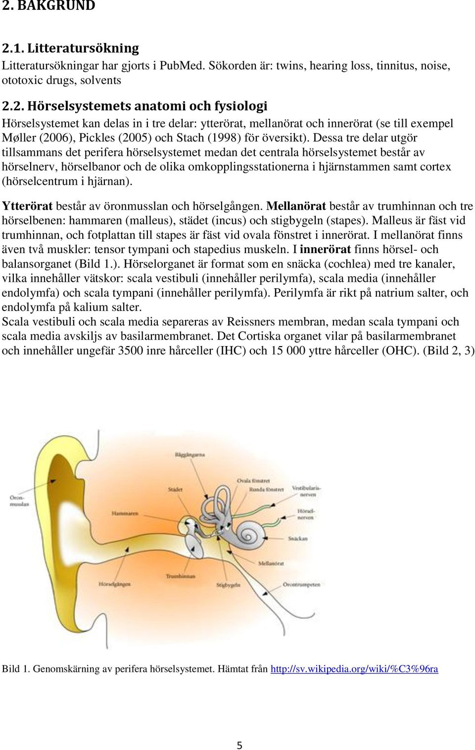 (hörselcentrum i hjärnan). Ytterörat består av öronmusslan och hörselgången. Mellanörat består av trumhinnan och tre hörselbenen: hammaren (malleus), städet (incus) och stigbygeln (stapes).