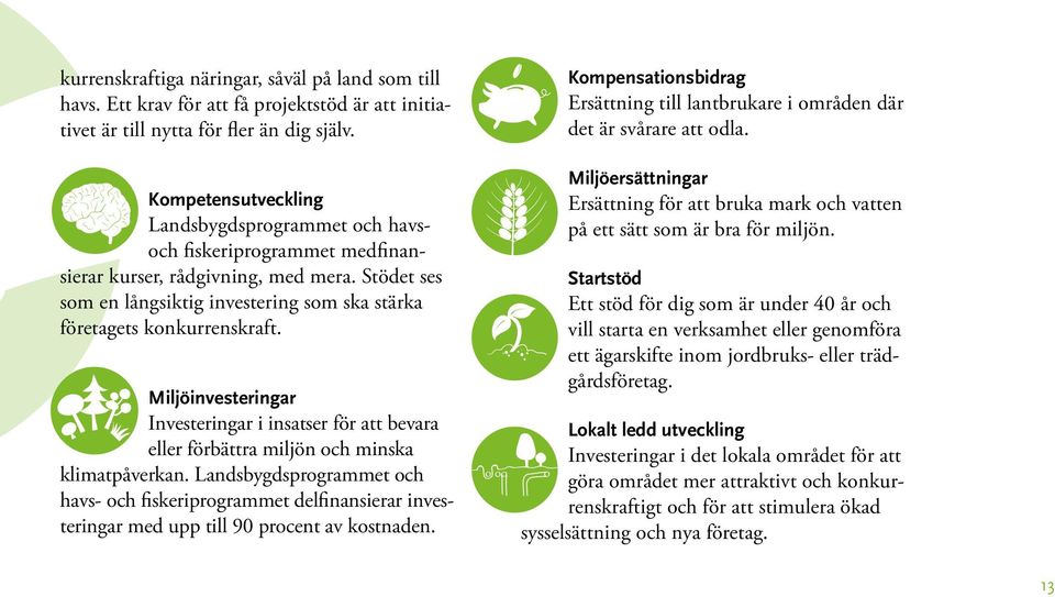 Miljöinvesteringar Investeringar i insatser för att bevara eller förbättra miljön och minska klimatpåverkan.