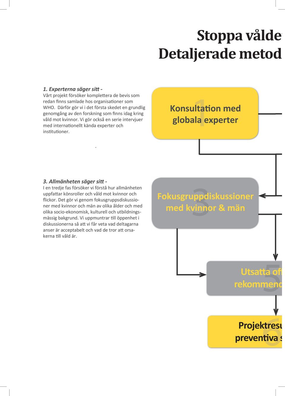 1 Konsultation med globala experter. 3. Allmänheten säger sitt - I en tredje fas försöker vi förstå hur allmänheten uppfattar könsroller och våld mot kvinnor och flickor.