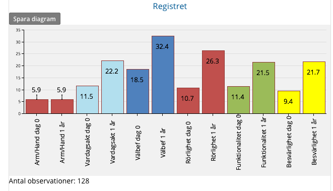 Rörlighet ett år efter en diafysär