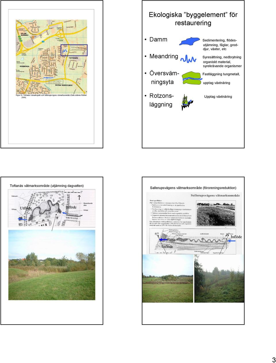 Toftanäs våtmarksområde (utjämning dagvatten) Utflöde Rotzonsläggning Sedimentering, flödesutjämning, fåglar, groddjur, växter, etc