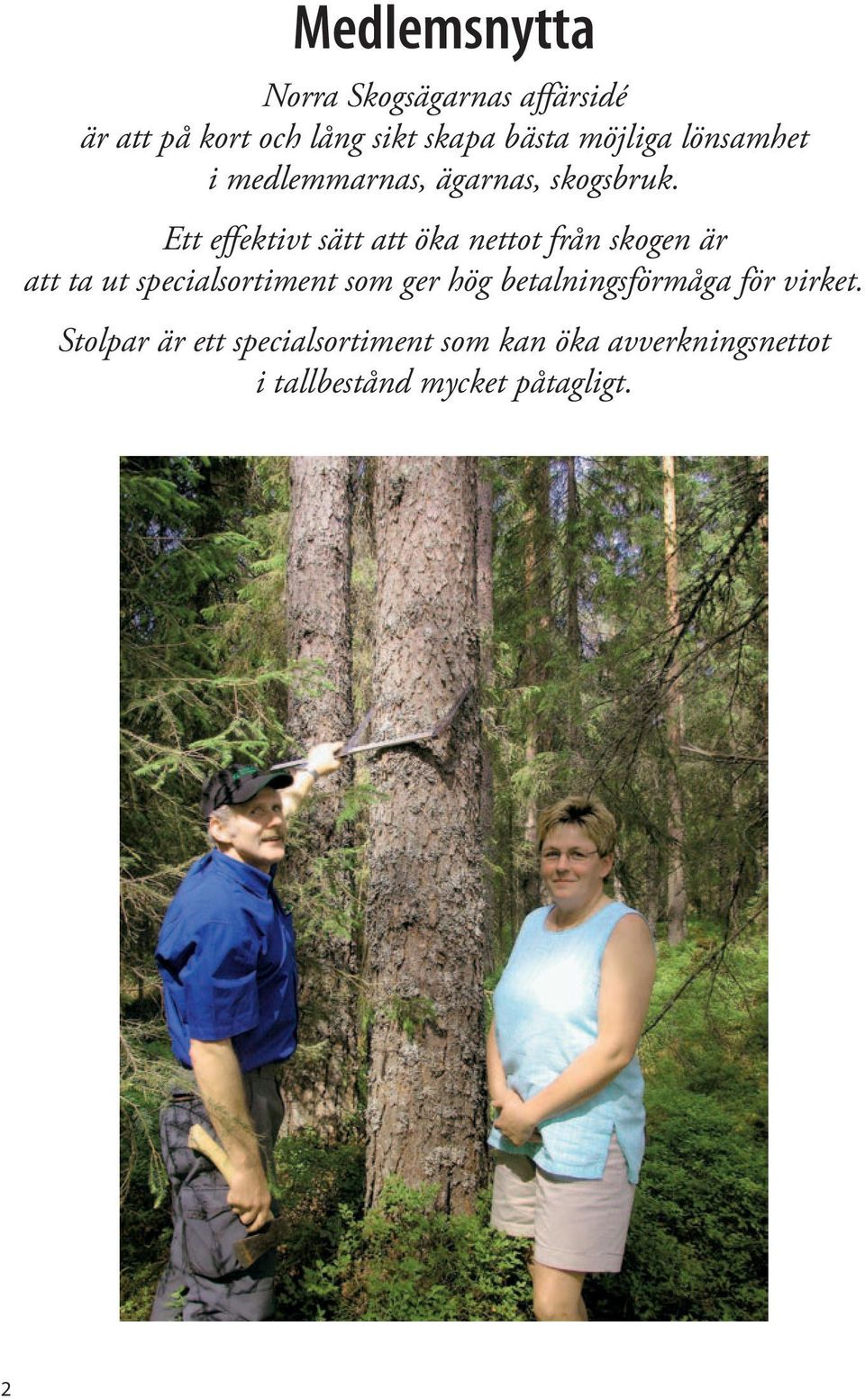 Ett effektivt sätt att öka nettot från skogen är att ta ut specialsortiment som ger hög