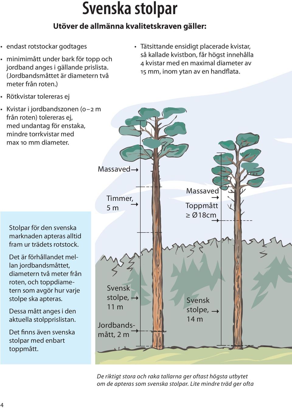 ) Rötkvistar tolereras ej Kvistar i jordbandszonen (0 2 m från roten) tolereras ej, med undantag för enstaka, mindre torrkvistar med max 10 mm diameter.