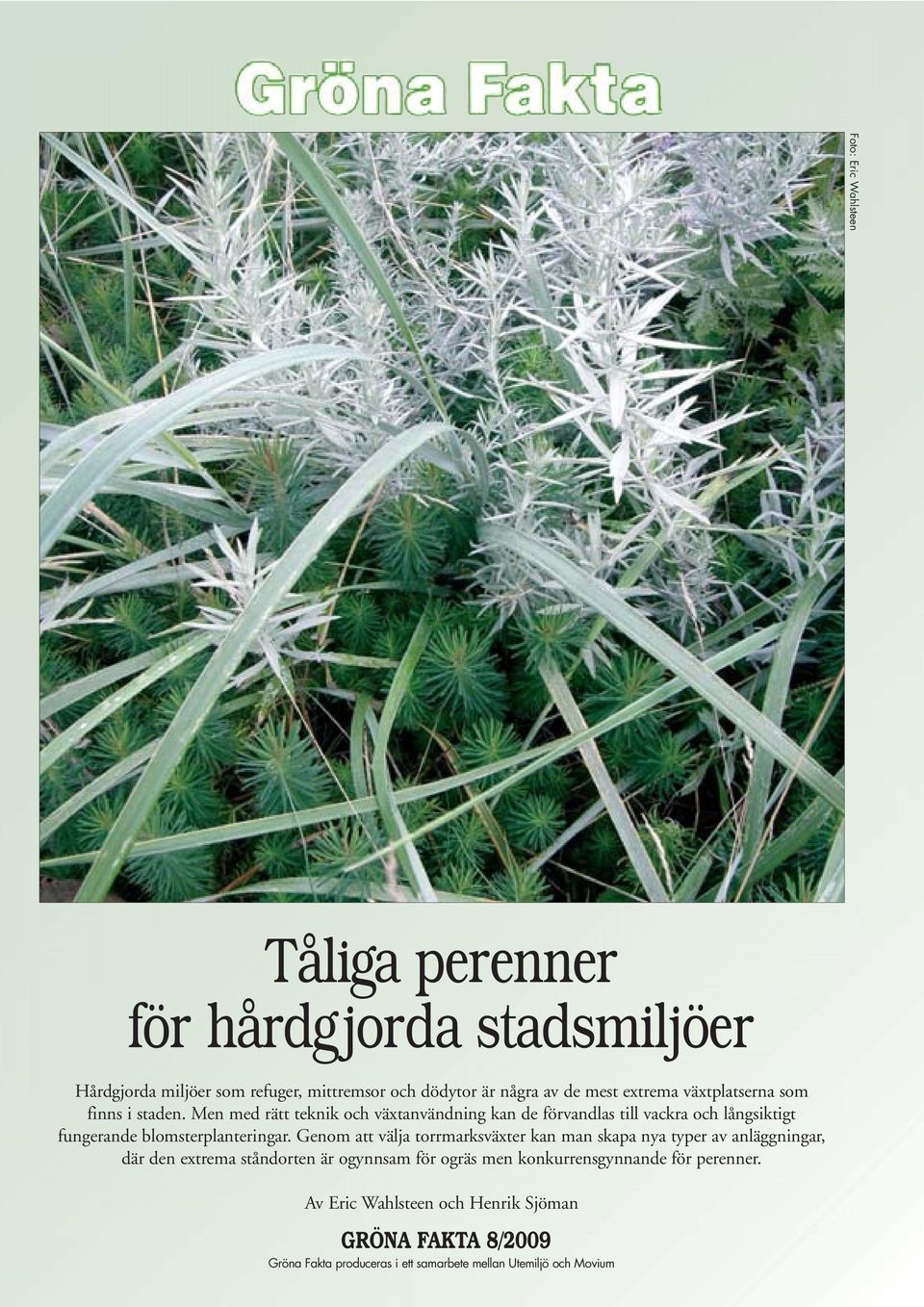 Men med rätt teknik och växtanvändning kan de förvandlas till vackra och långsiktigt fungerande blomsterplanteringar.