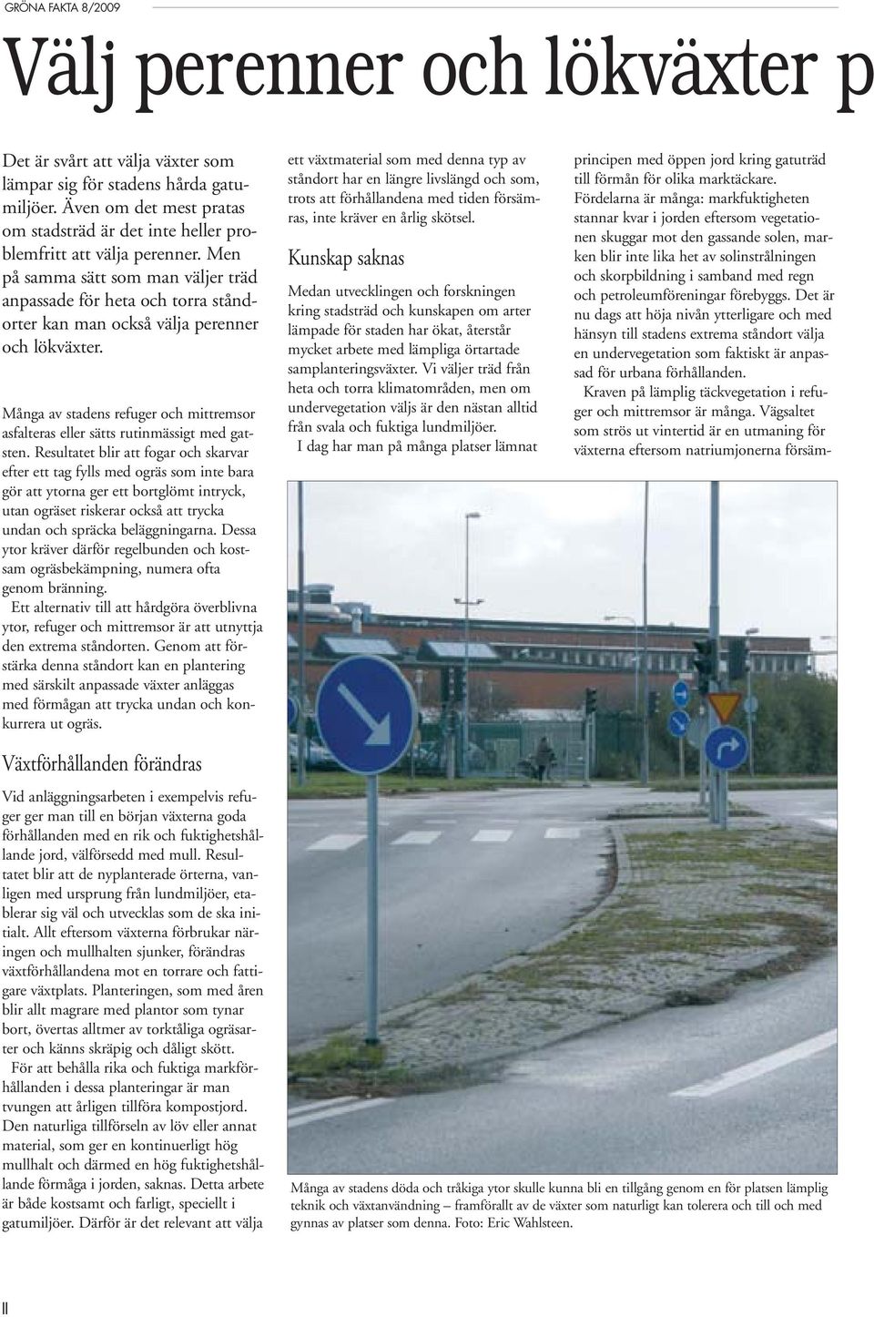 Många av stadens refuger och mittremsor asfalteras eller sätts rutinmässigt med gat - sten.