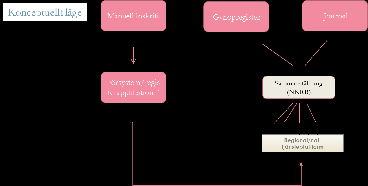 6.1.3 NATIONELLA TJÄNSTER I BREDARE TILLÄMPNING Här följer en beskrivning av hur data från ett vårddokumentationssystem kan göras tillgängligt nationellt, genom att ett försystem gör sin information