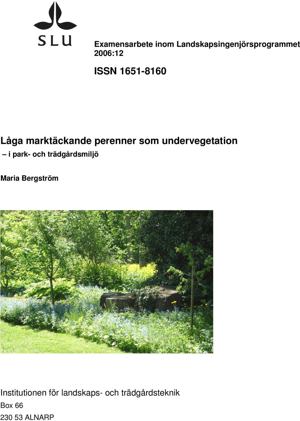 undervegetation i park- och trädgårdsmiljö Maria