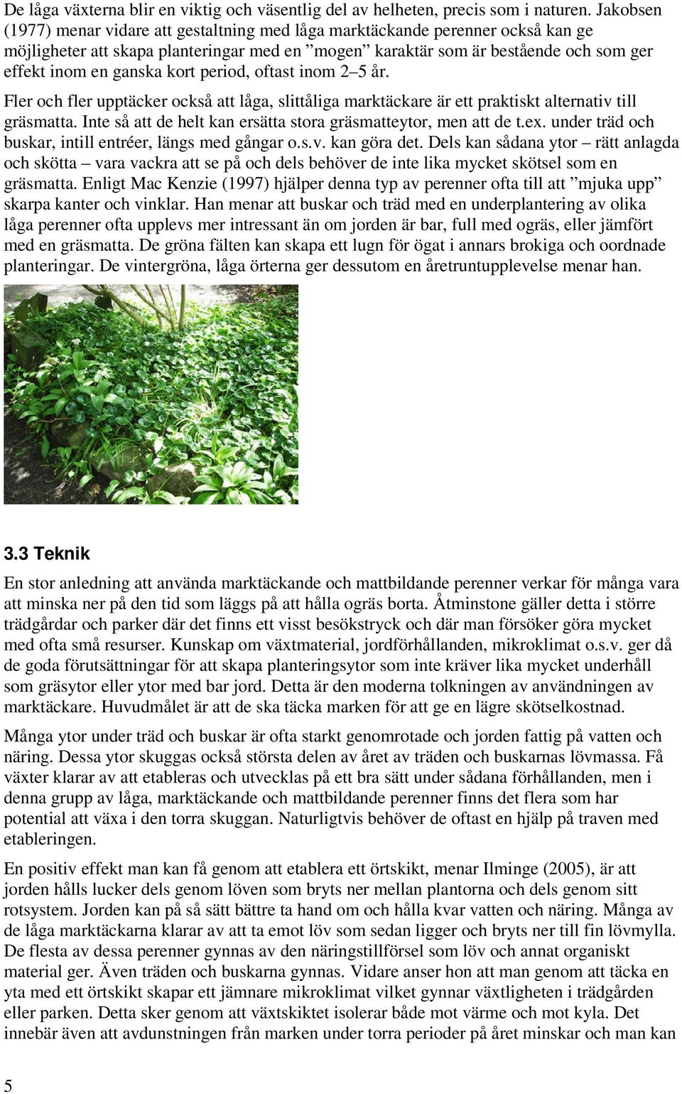 kort period, oftast inom 2 5 år. Fler och fler upptäcker också att låga, slittåliga marktäckare är ett praktiskt alternativ till gräsmatta.